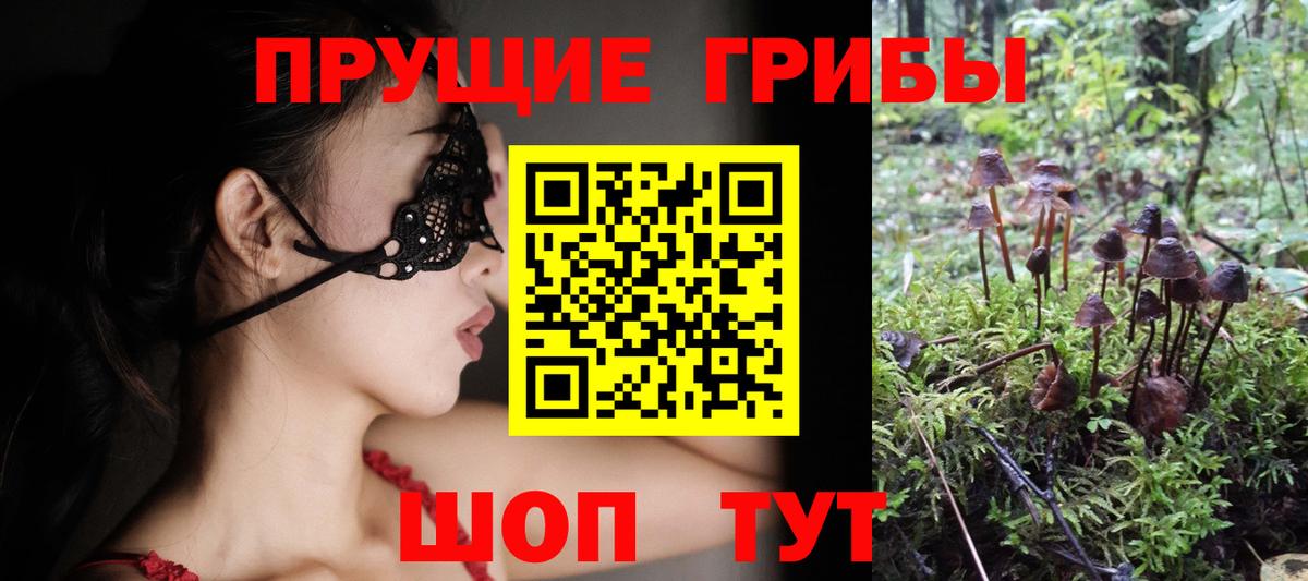 Галлюциногенные грибы мухоморы  Вход с VPN  Галлюциногенные грибы MAGIC MUSHROOMS  Чехов 